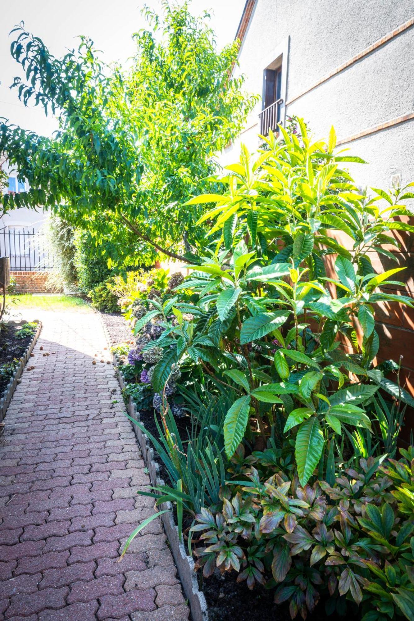 "Le 35" Maison Renovee Avec Jardin Proche Centre Lamotte-Beuvron Dış mekan fotoğraf